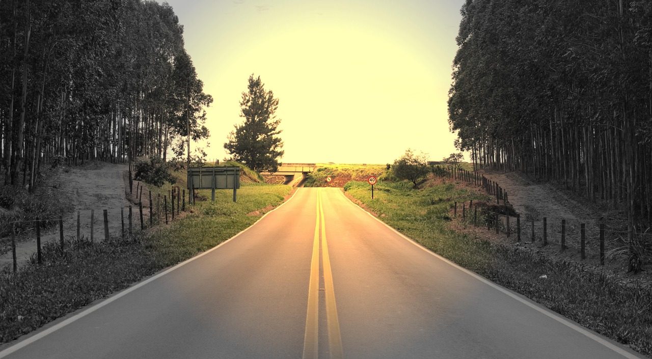 A freshly paved asphalt road with a painted center line
